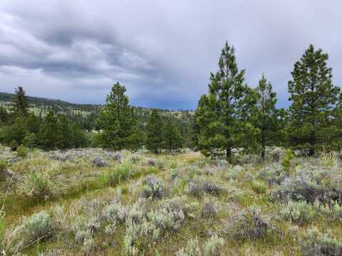 TBD REEVES BASIN RD, TONASKET, WA 98855