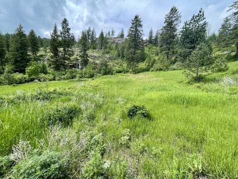 842 LOT 5 VALLEY-WESTSIDE RD, COLVILLE, WA 99114