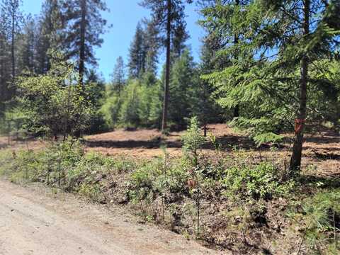 TBD COLUMBIA DR, KETTLE FALLS, WA 99141