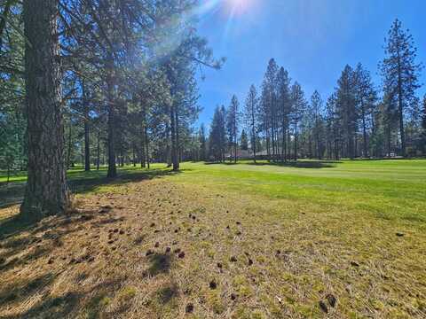 138 TRAPPERS LOOP, CHEWELAH, WA 99109