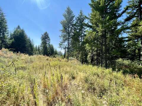 2599 F SCOTT RD, RICE, WA 99167
