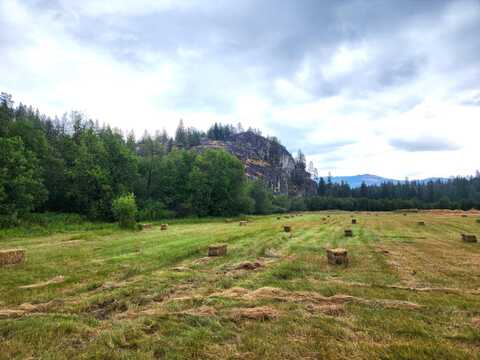 1041 AENEAS VALLEY RD, TONASKET, WA 98855