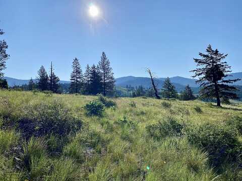 0001 DIGNITY RANCH RD, REPUBLIC, WA 99166