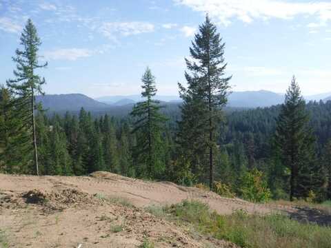 LOT 2 MOOSE RIDGE WAY, LOON LAKE, WA 99148