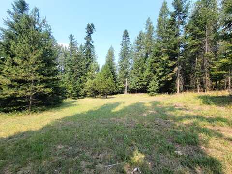 TBD FIR DR, CUSICK, WA 99119