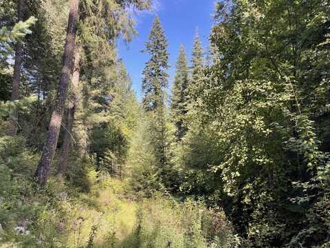 1855 BLUE CREEK RD, ADDY, WA 99101