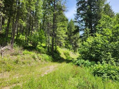 TBD WELLS CREEK RD, INCHELIUM, WA 99138