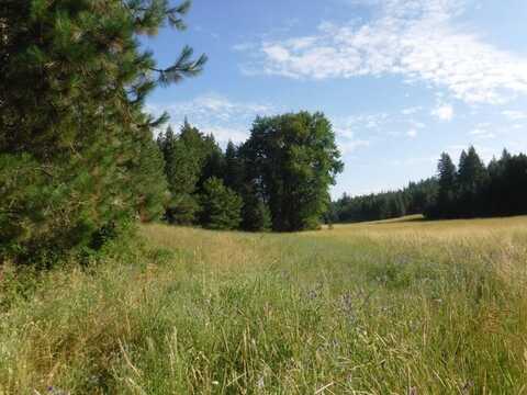 LOT 1 MOOSE RIDGE WAY, LOON LAKE, WA 99148