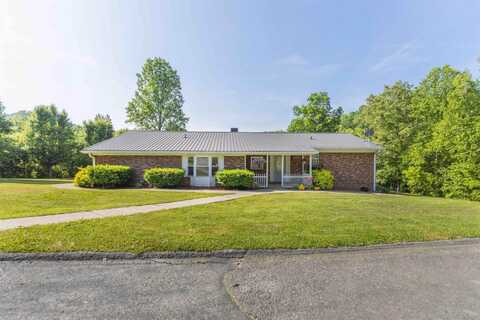 95 Orphia Lewis Road, Hinkle, KY 40953