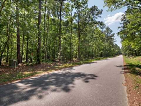 10 Hickory Landing Court, Elloree, SC 29047