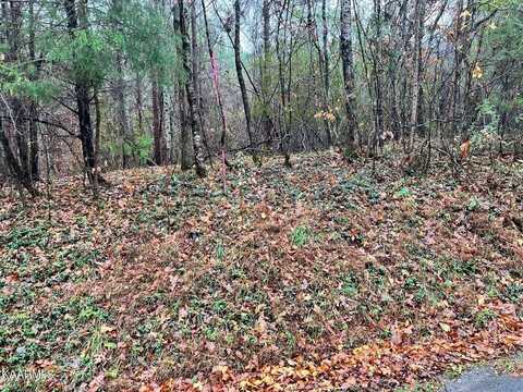 Lot 15R Rayl Hollow, Decatur, TN 37322