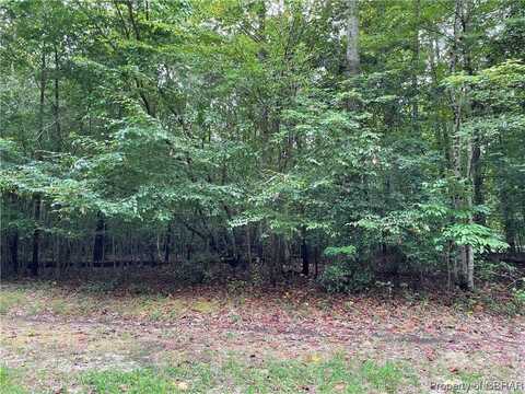 10.08 AC Beech Creek Road, Gloucester, VA 23061