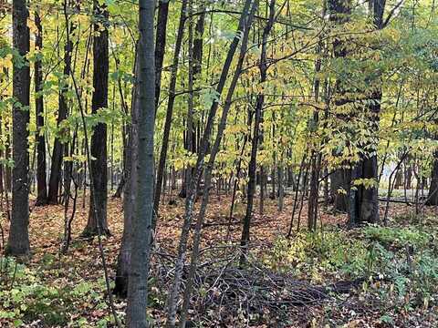 Lot 9 COUNTY ROAD V, Marshfield, WI 54449