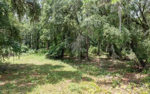 TBD Scenic Lake Drive, Lake City, FL 32055