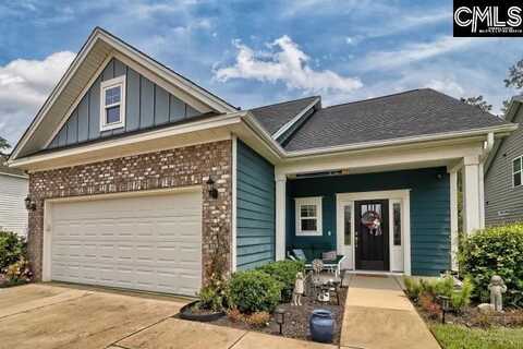 336 Amalfi, Chapin, SC 29036