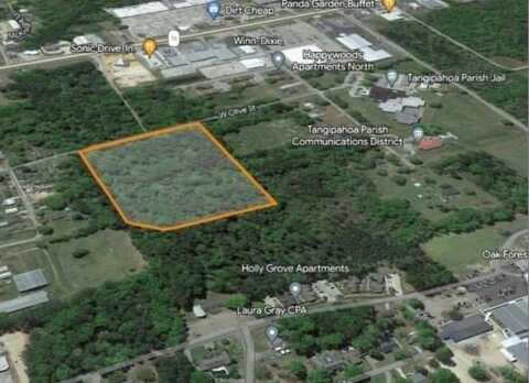 West Olive St. - 10.5 ac, Amite, LA 70422