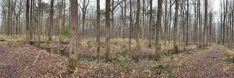 Lot 28 Trinkle Street, Chesapeake, VA 23322