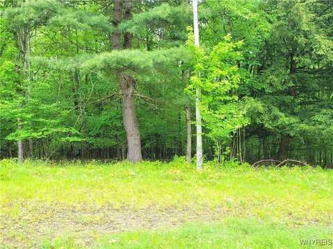 0 Cr-24- Lot 18, Corfu, NY 14884