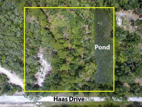 Lot 13 Haas Drive, Webster, FL 33597