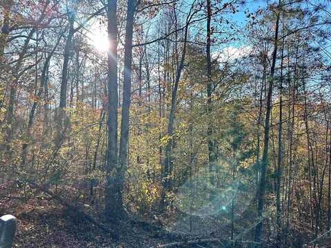 10 AC Co Rd 1209, Vinemont, AL 35179