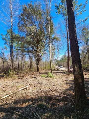 Poche Rd. (25 acres), Ponchatoula, LA 70454