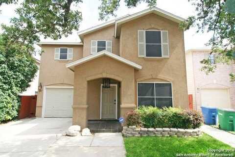 207 Adelaide Oaks, San Antonio, TX 78249