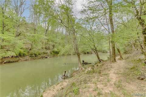 000 Cripple Creek Road, Berry, AL 35546