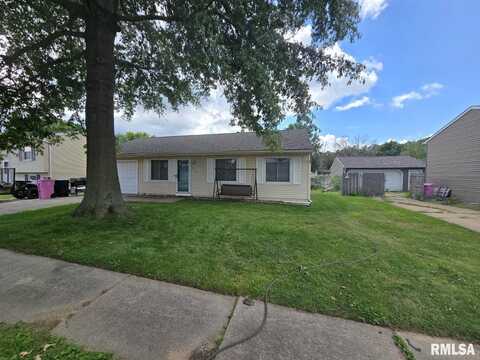 909 Ash Drive, Colona, IL 61241