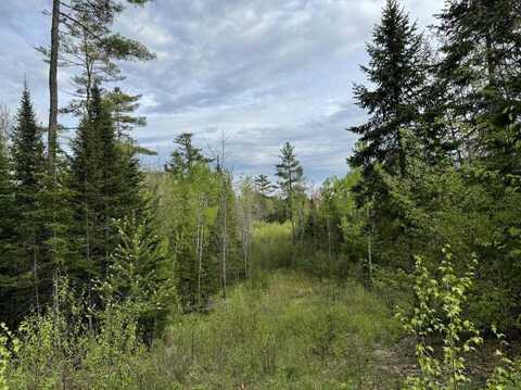 Lot #16 Hemlock Ridge Drive, Hermon, ME 04401