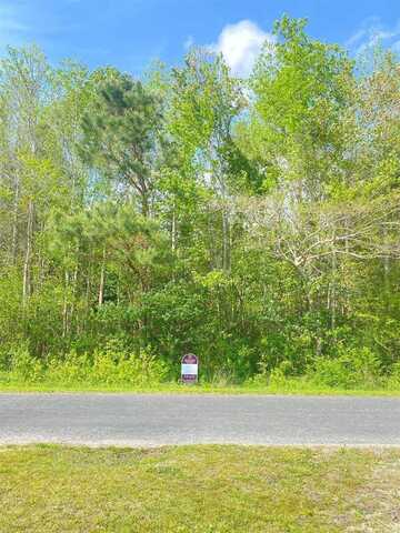 TBD Highway 762, Loris, SC 29569