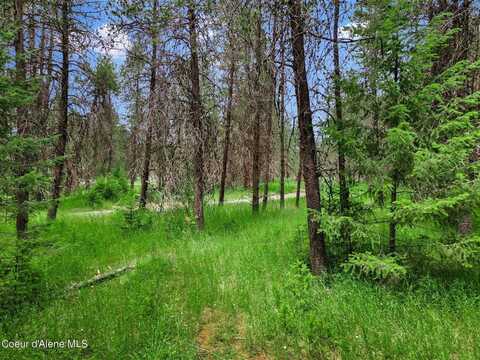 NKA Rock Springs Rd. Lot 2A, Athol, ID 83801