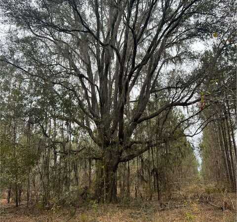 SW CATHERINE LANE ("B"), Lake City, FL 32025