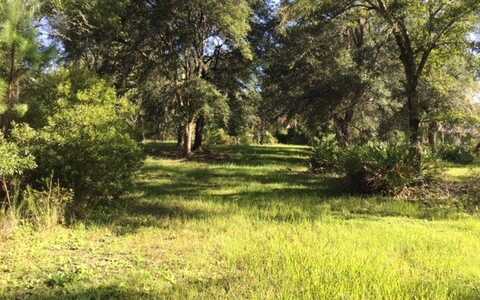 1659 NW CR-25A, Lake City, FL 32055