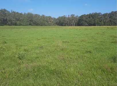 TBD 153RD RD, Live Oak, FL 32060