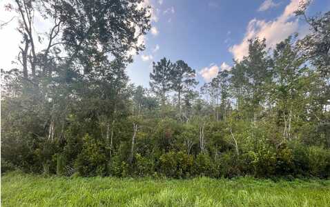 TBD CR 14 LOT 4, Other, FL 32331