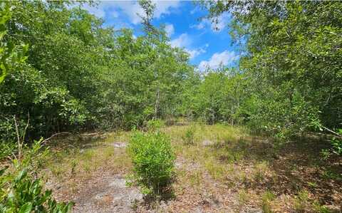 217TH RD, Live Oak, FL 32060