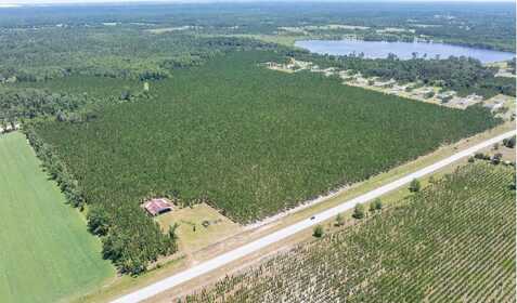 TBD CR 136 - 135 ACRES, Live Oak, FL 32060