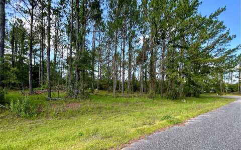 TBD 88TH TRL, Live Oak, FL 32060