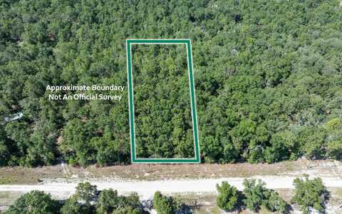 TBD NE MAHLON DRIVE, Lee, FL 32059