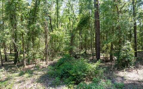 00 186TH PLACE, Live Oak, FL 32060