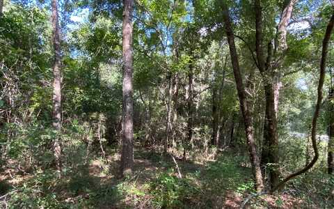 LOT18 CR 349, Live Oak, FL 32060