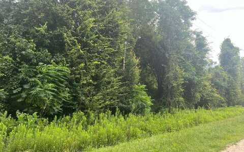 NW 60TH AVE - LOT 31, Jennings, FL 32053