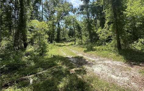 TBD 179TH ROAD, Live Oak, FL 32060