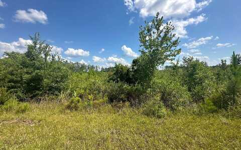 TBD SE WEEKS LANE, Lake City, FL 32025