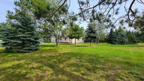 6015 Bogardus, Pellston, MI 49769