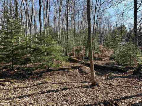 Lot 412/413/447 Wildwood and Island Wood, Beaver Island, MI 49782