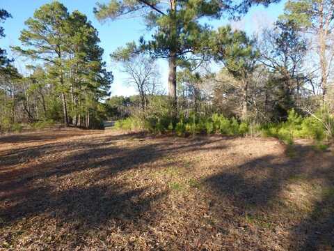 Lot 9 County Road 816, Central Heights, TX 75964