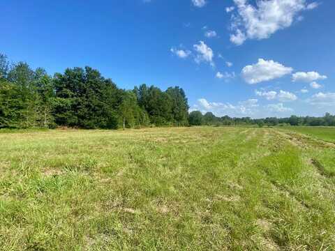 Lot #135 JB McDuff Drive, Crockett, TX 75853