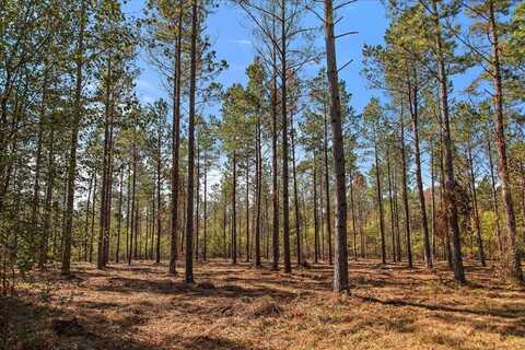 28 ac CR 1219-Lot 5, Rusk, TX 75785