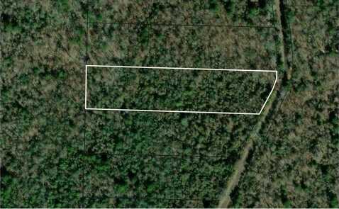 TBD LOT #8 CR 751, Nacogdoches, TX 75964